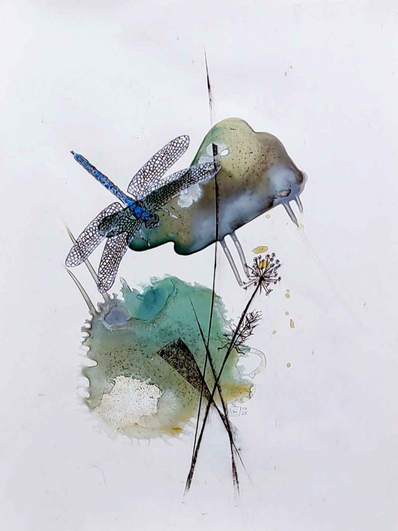 wasserjungfer, 20x30, acryl auf steinpapier Bild-Nummer 1760878981257






